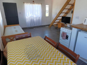 Duplex Doguitos